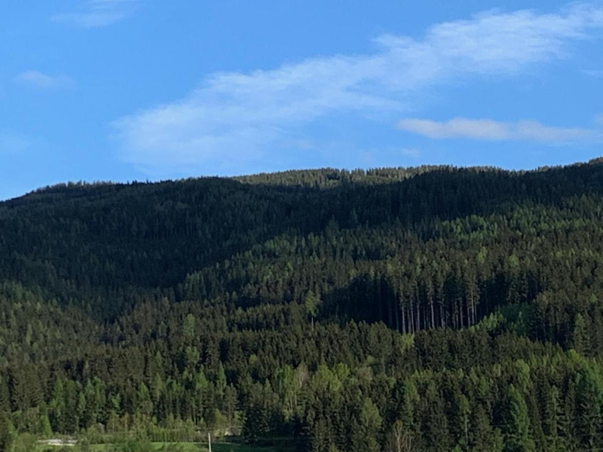 Landgasthof zur Post Mitterdorf im Mürztal Exterior foto