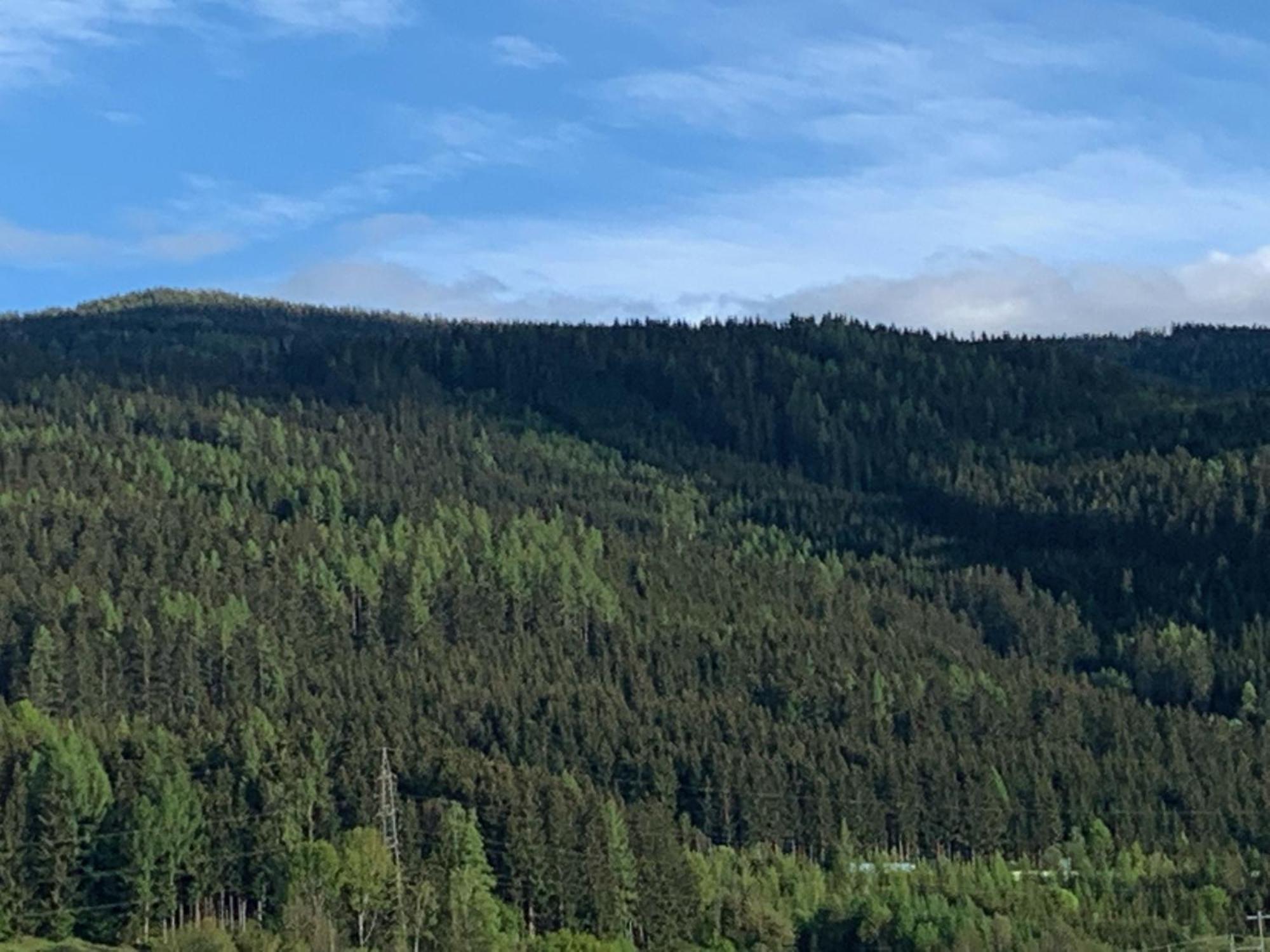 Landgasthof zur Post Mitterdorf im Mürztal Zimmer foto